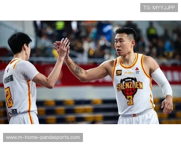 贺希宁带伤作战风险需评估 深圳队考虑轮休保护核心球员